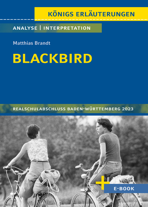 Blackbird von Matthias Brandt - Textanalyse und Interpretation - Sabine Hasenbach