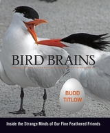Bird Brains -  Budd Titlow