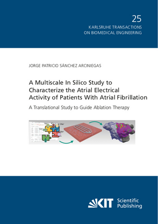 A Multiscale In Silico Study to Characterize the Atrial Electrical Activity of Patients With Atrial Fibrillation : A Translational Study to Guide Ablation Therapy