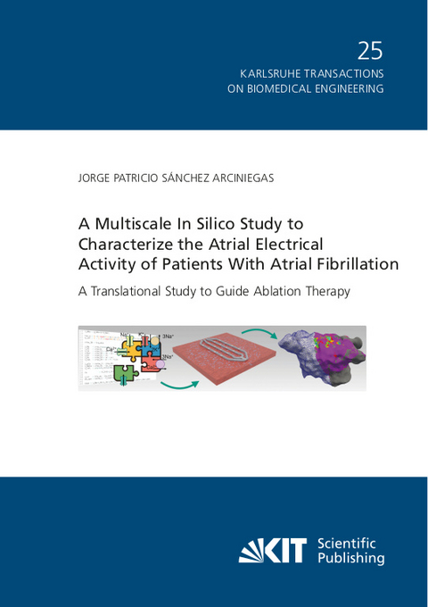 A Multiscale In Silico Study to Characterize the Atrial Electrical Activity of Patients With Atrial Fibrillation : A Translational Study to Guide Ablation Therapy - Jorge Patricio S&aacute;nchez Arciniegas