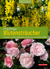 Pr&auml;chtige Bl&uuml;tenstr&auml;ucher - Klaus Margraf