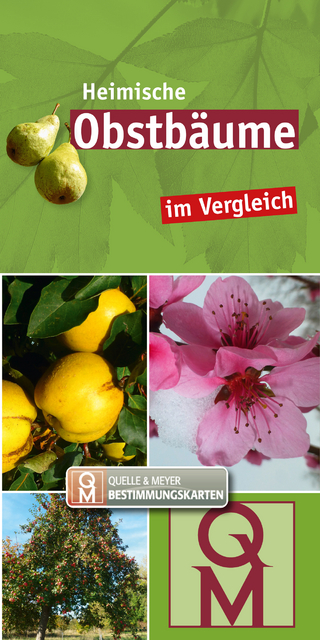 Heimische Obstbäume im Vergleich
