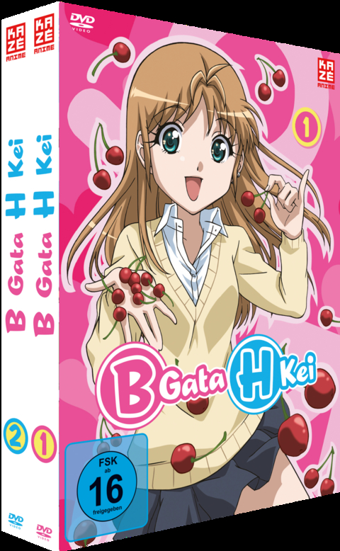 B Gata H Kei - Gesamtausgabe - Bundle - Vol.1-2 (2 DVDs) - Yusuke Yamamoto