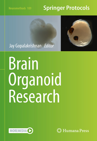 Brain Organoid Research