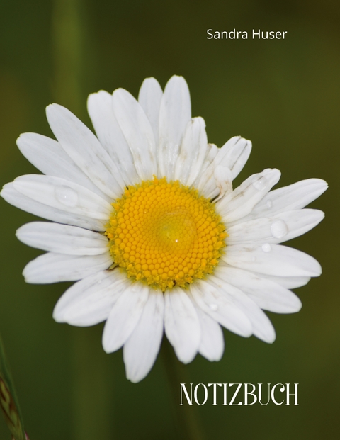 Blumenliebe - Sandra Huser