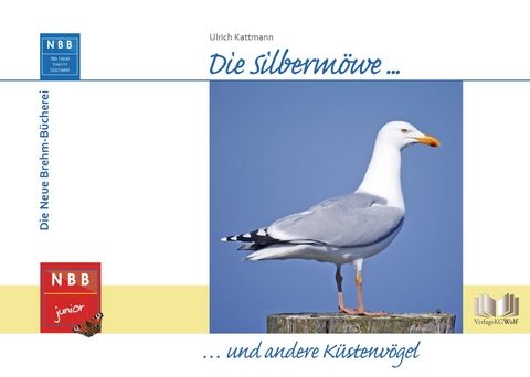 Die Silberm&ouml;we und andere K&uuml;stenv&ouml;gel - Ulrich Kattmann