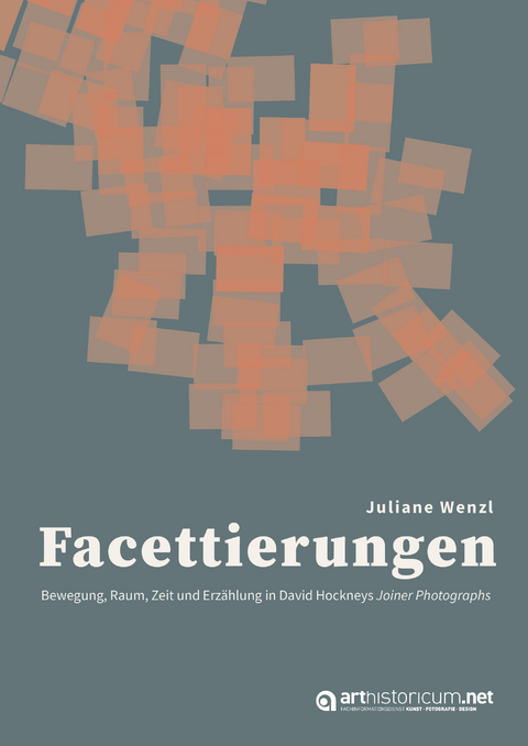 Facettierungen - Juliane Wenzl