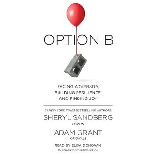 Option B