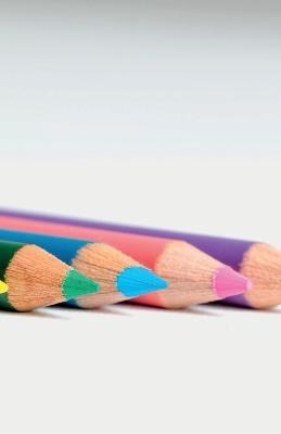 Beginner's Notebook - C S Young