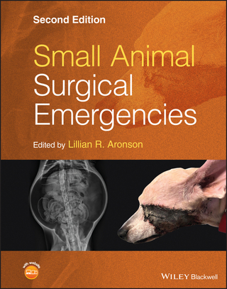 Small Animal Surgical Emergencies - Lillian R. Aronson