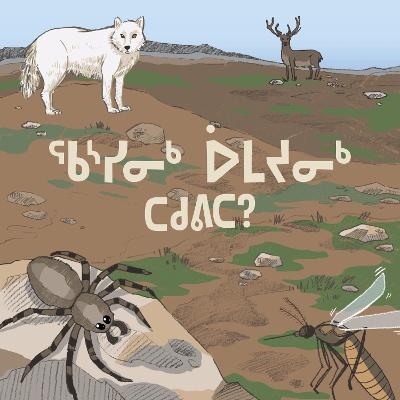 How Many Animals Did We See? -  Arvaaq Press