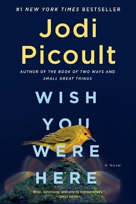 Wish You Were Here - Jodi Picoult