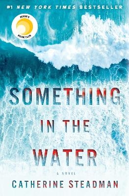 Something in the Water - Catherine Steadman