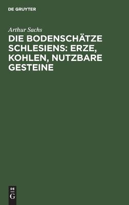 Die Bodenschätze Schlesiens: Erze, Kohlen, nutzbare Gesteine