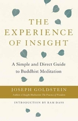 The Experience of Insight - Goldstein, Joseph
