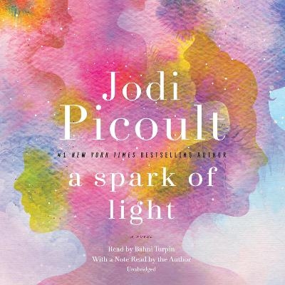A Spark of Light - Jodi Picoult