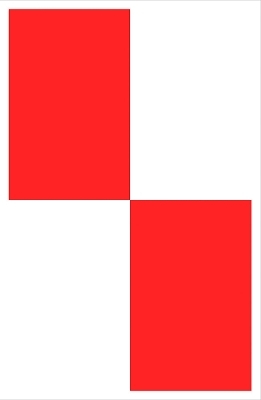 Carmen Herrera - Painting in Process