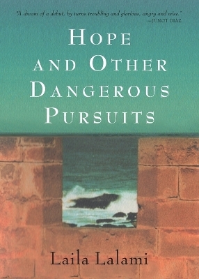 Hope and Other Dangerous Pursuits