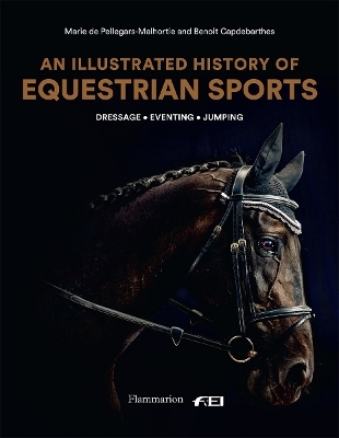 An Illustrated History of Equestrian Sports
