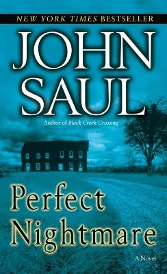 Perfect Nightmare - John Saul