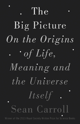Big Picture -  Sean Carroll