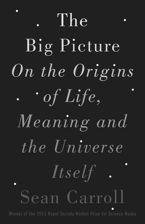 Big Picture -  Sean Carroll