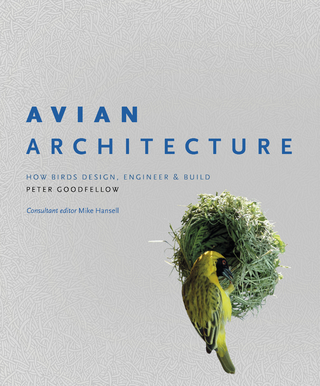 Avian Architecture