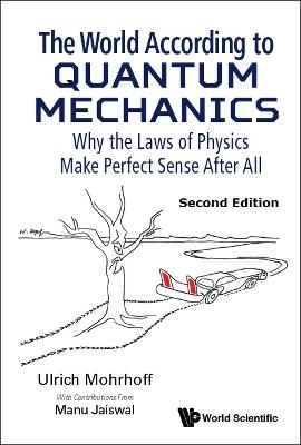 World According To Quantum Mechanics, The: Why The Laws Of Physics Make Perfect Sense After All