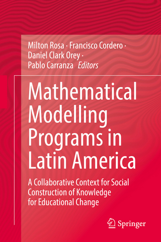 Mathematical Modelling Programs in Latin America