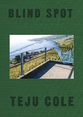 Blind Spot - Teju Cole