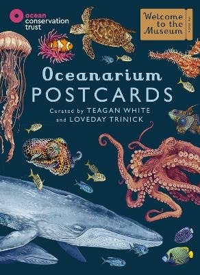 Oceanarium Postcards - Loveday Trinick