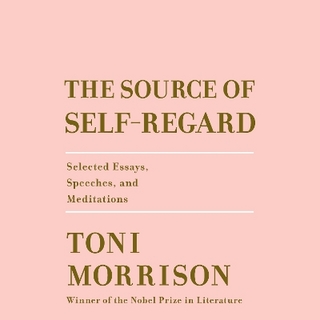 The Source of Self-Regard