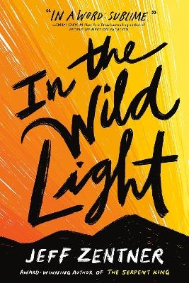In the Wild Light - Jeff Zentner