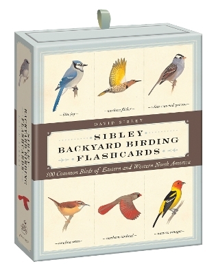 Sibley Backyard Birding Flashcards - David Allen Sibley