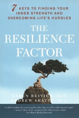 The Resilience Factor - Karen Reivich, Andrew Shatte