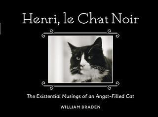 Henri, le Chat Noir