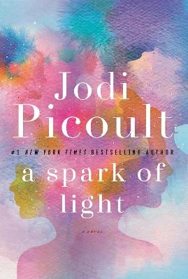 A Spark of Light - Jodi Picoult