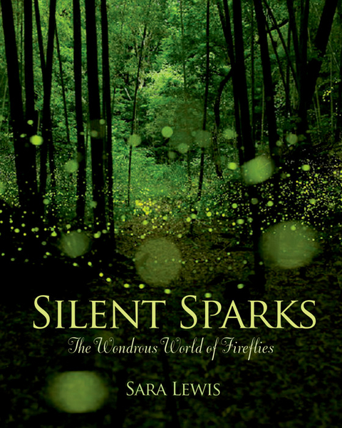 Silent Sparks - Sara Lewis
