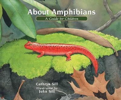 About Amphibians - Cathryn Sill