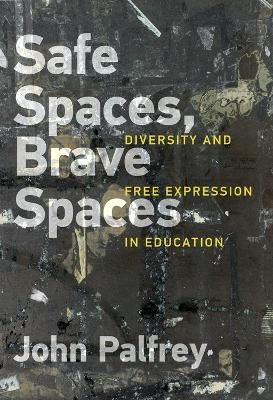 Safe Spaces, Brave Spaces - John Palfrey