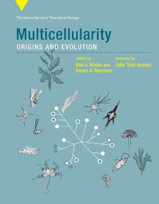Multicellularity