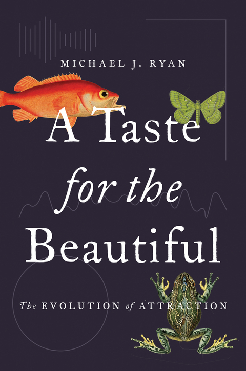 A Taste for the Beautiful - Michael J. Ryan