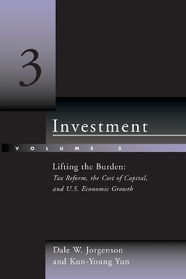 Investment - Dale W. Jorgenson, Kun-Young Yun