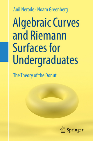 Algebraic Curves and Riemann Surfaces for Undergraduates