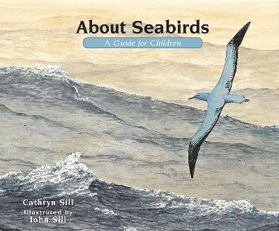 About Seabirds - Cathryn Sill
