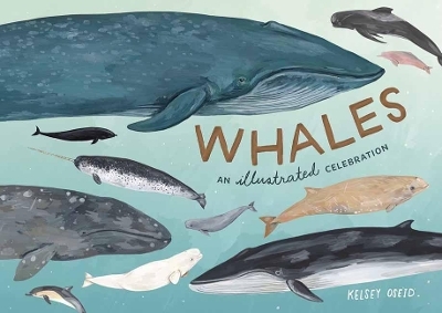 Whales - Kelsey Oseid