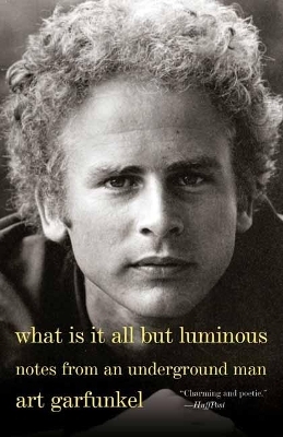 What Is It All but Luminous - Art Garfunkel