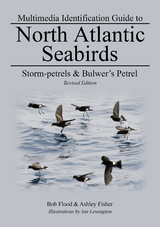 Storm-petrels & Bulwer's Petrel - Bob Flood