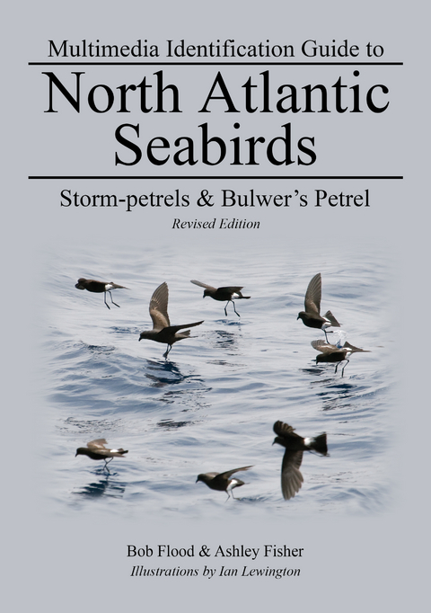 Storm-petrels & Bulwer's Petrel - Bob Flood