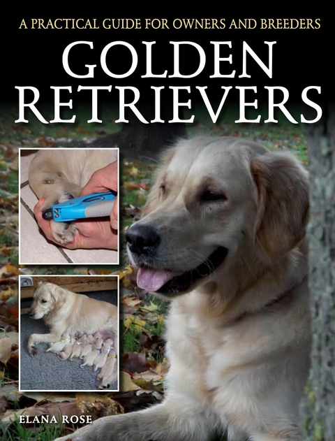 Golden Retrievers -  Elana Rose